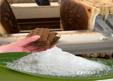 Polyacrylamide (PAM) in Plate and Frame Filter Presses: Selection and Effectiveness